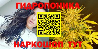 дмт Коммунар