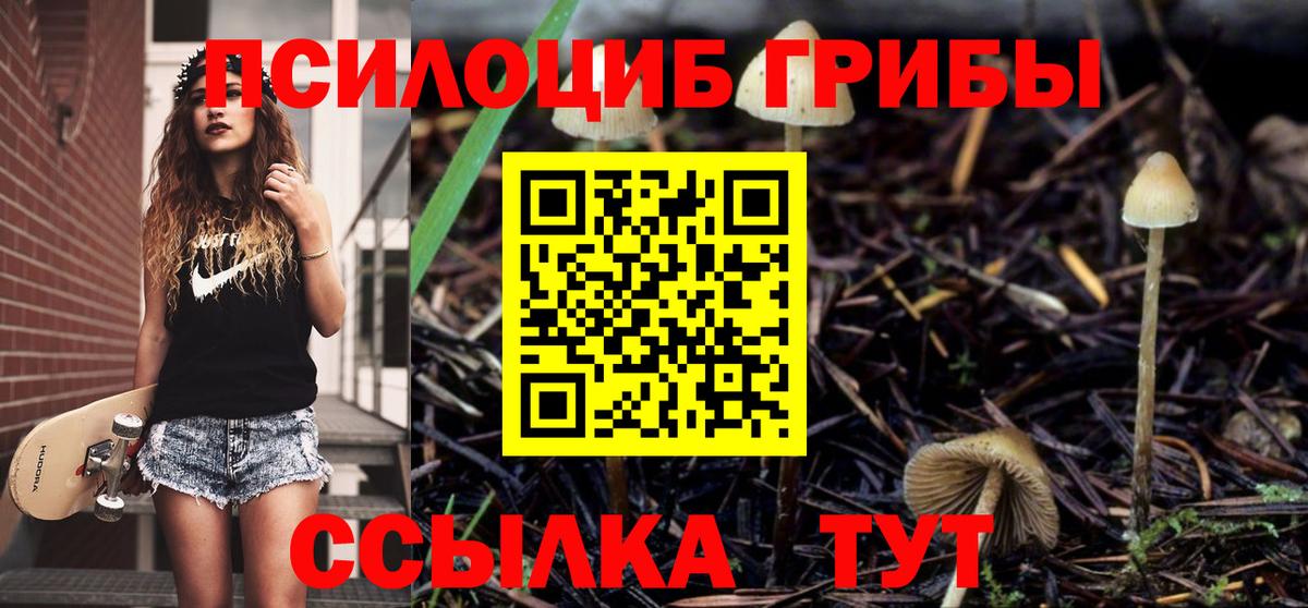 Псилоцибиновые грибы Magic Shrooms Узловая